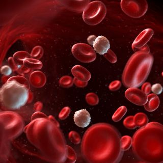 Regeneração dos tecidos